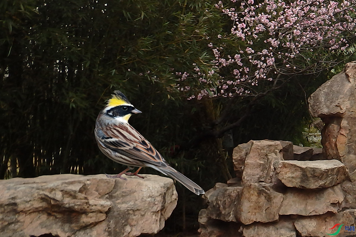 �ƺ��c��ѹ���� 059.jpg