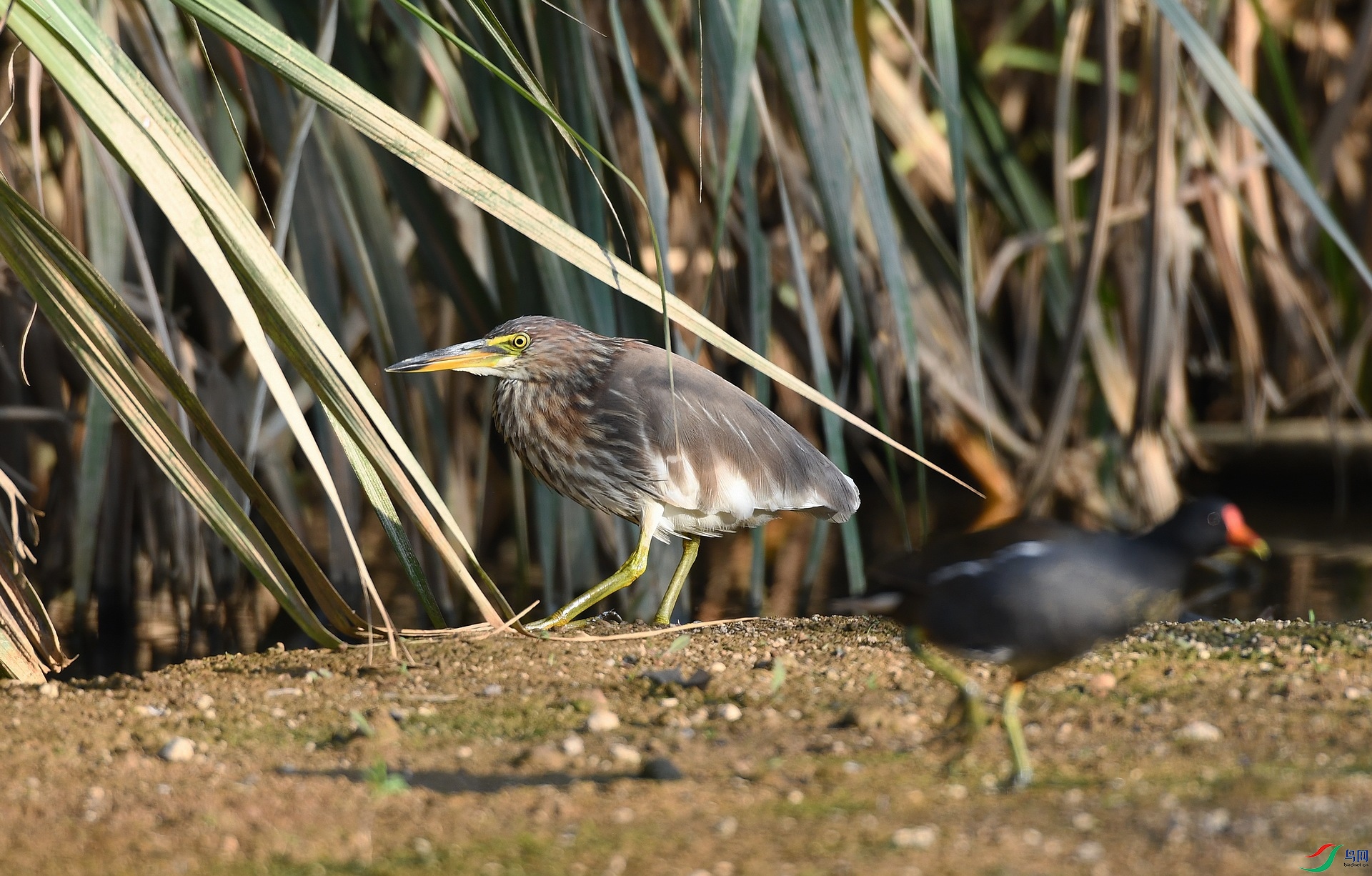 DSC_2269.jpg