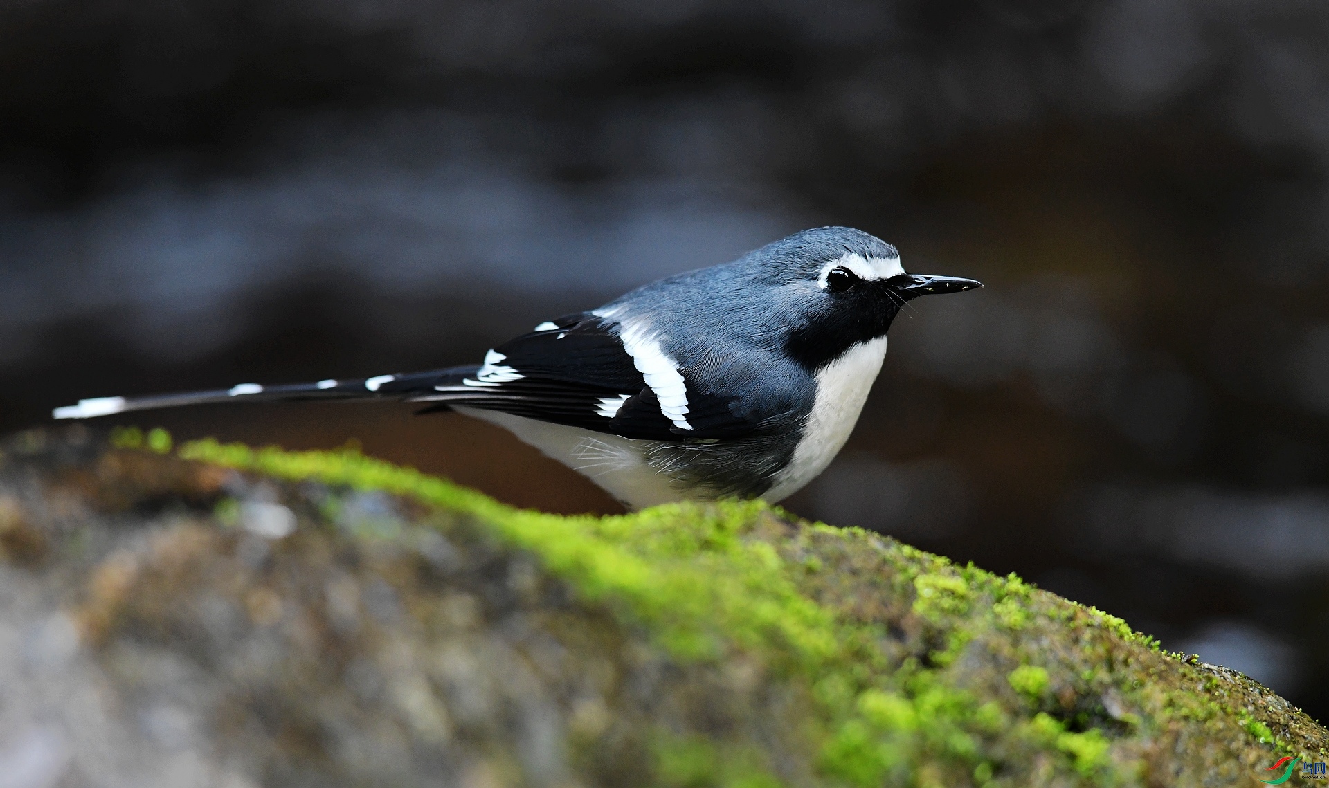 DSC_3014.jpg