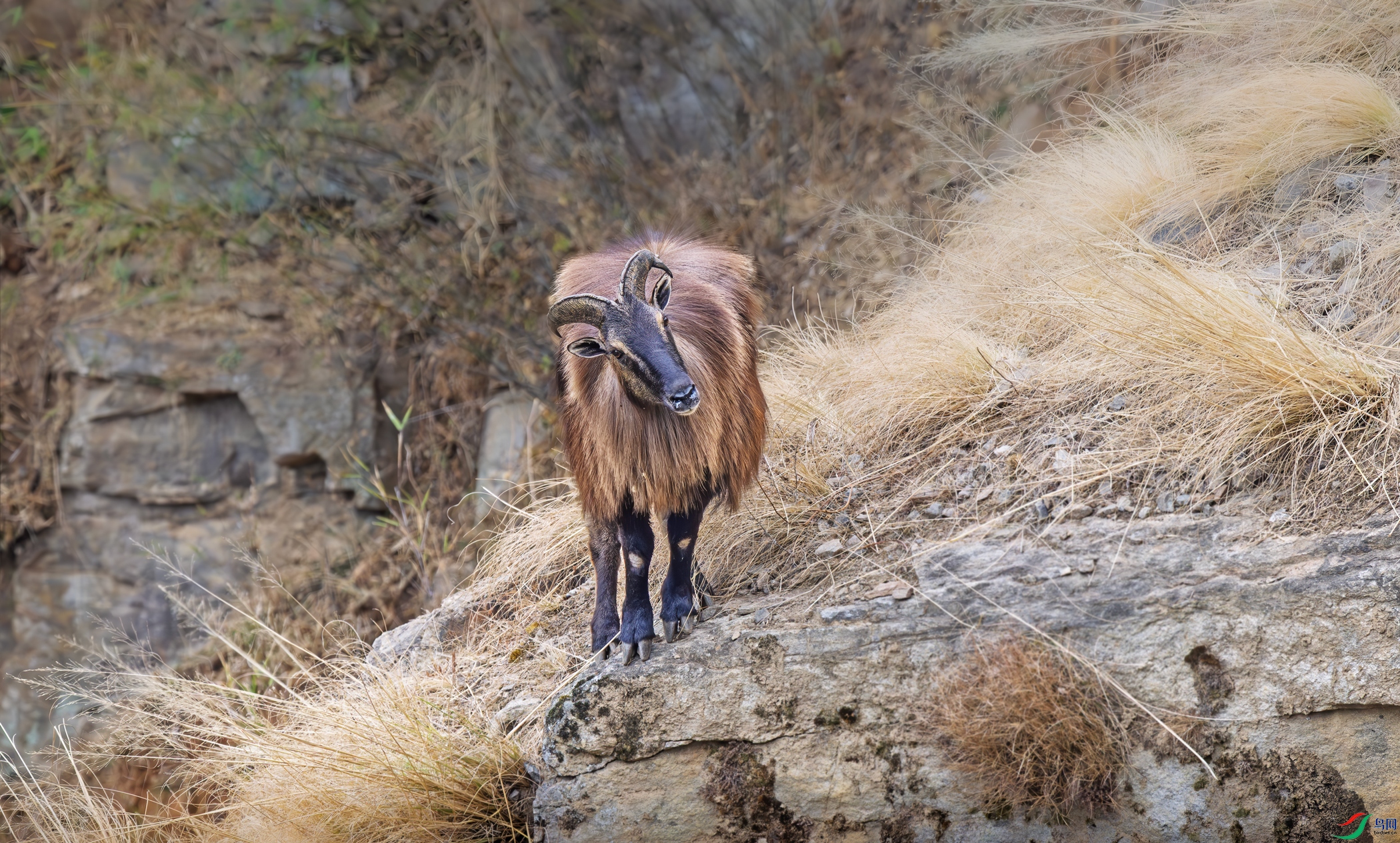 _DSC3732.jpg