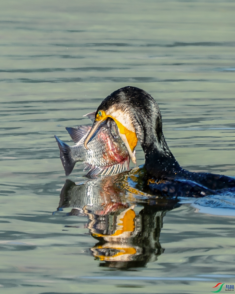 _DSC9550 ����.jpg