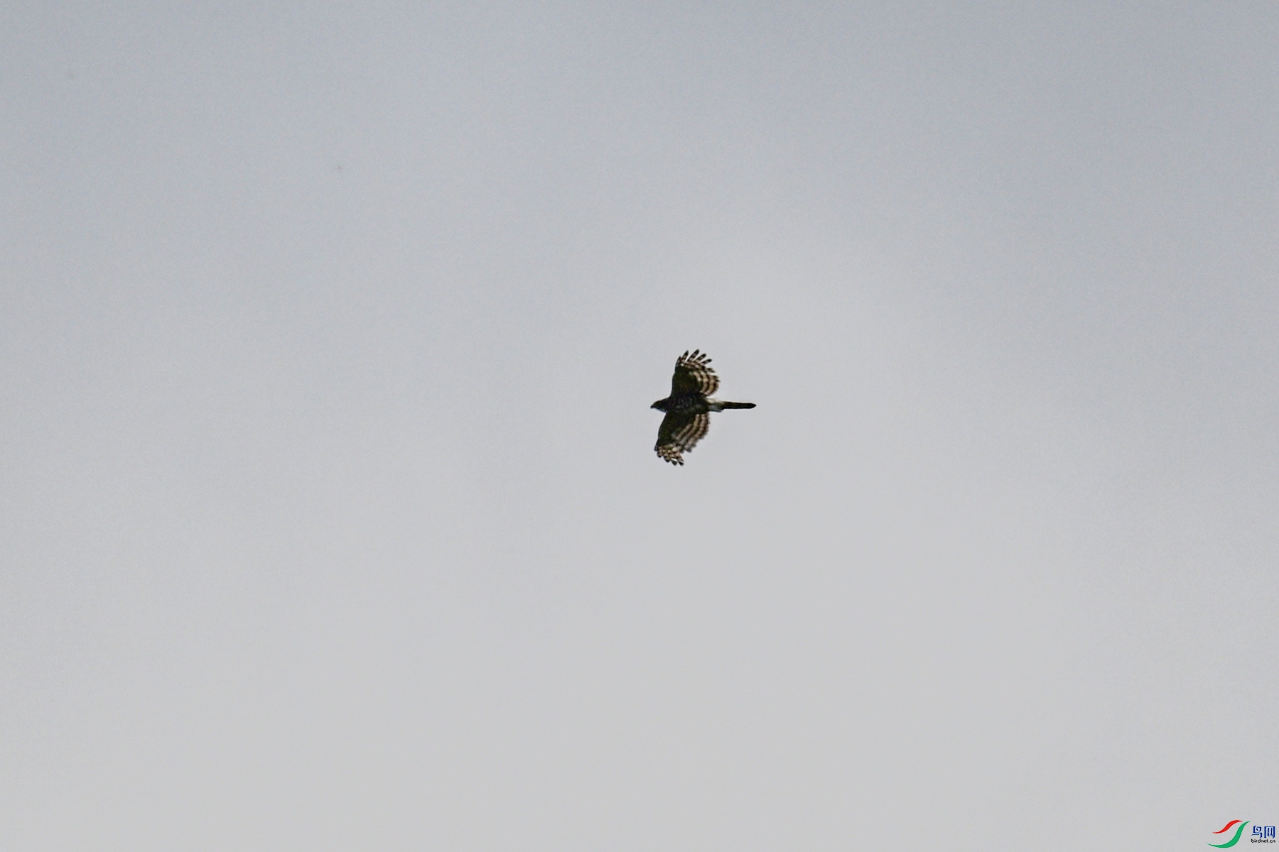 DSC_9623.JPG