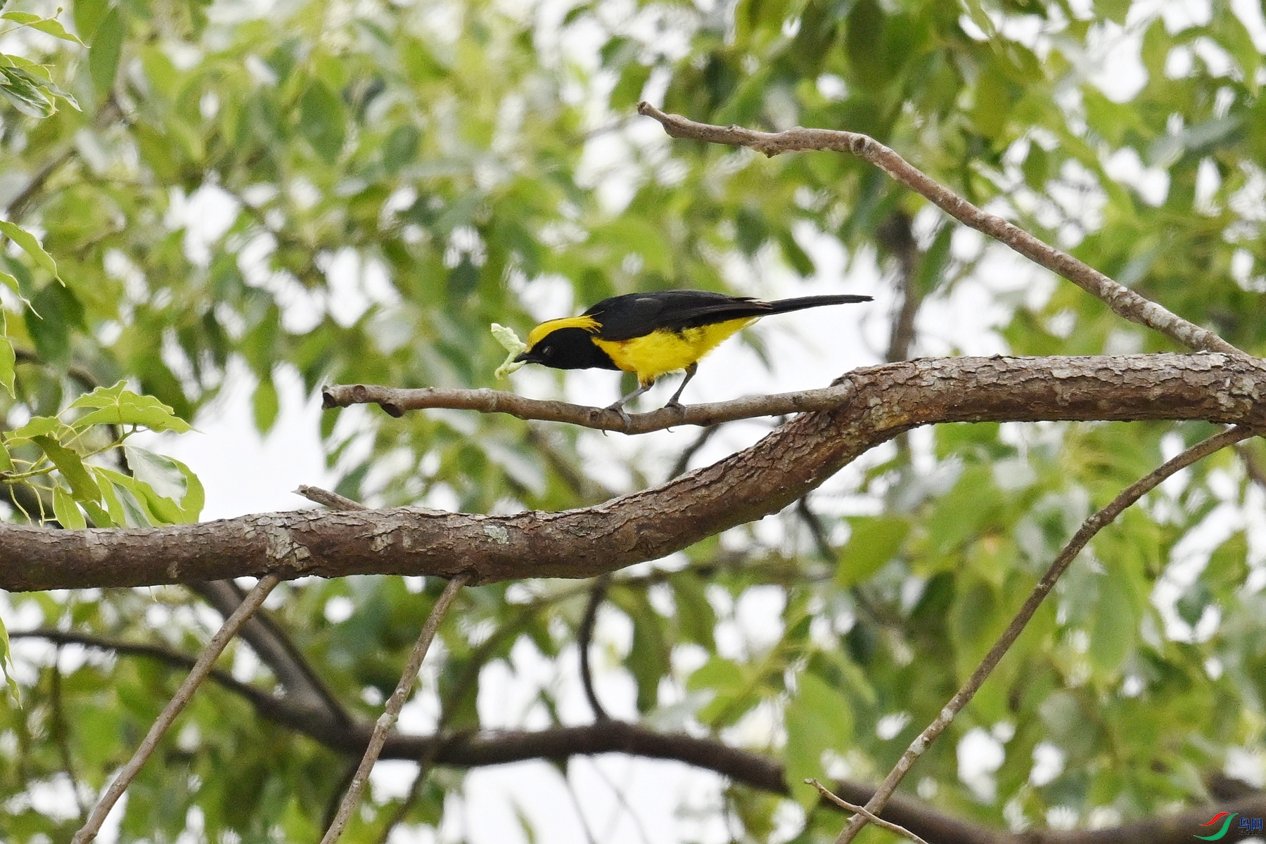DSC_9643.JPG