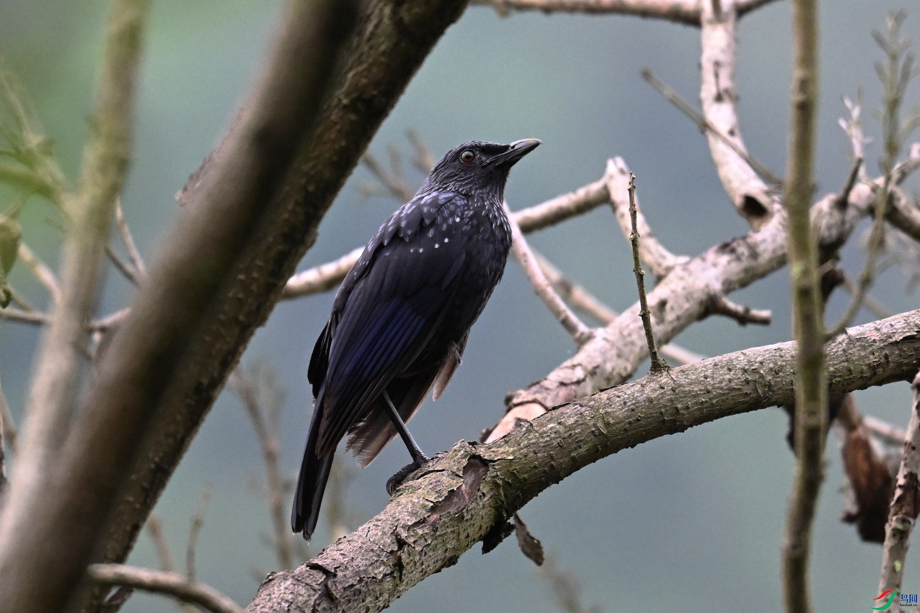 DSC_9713.JPG