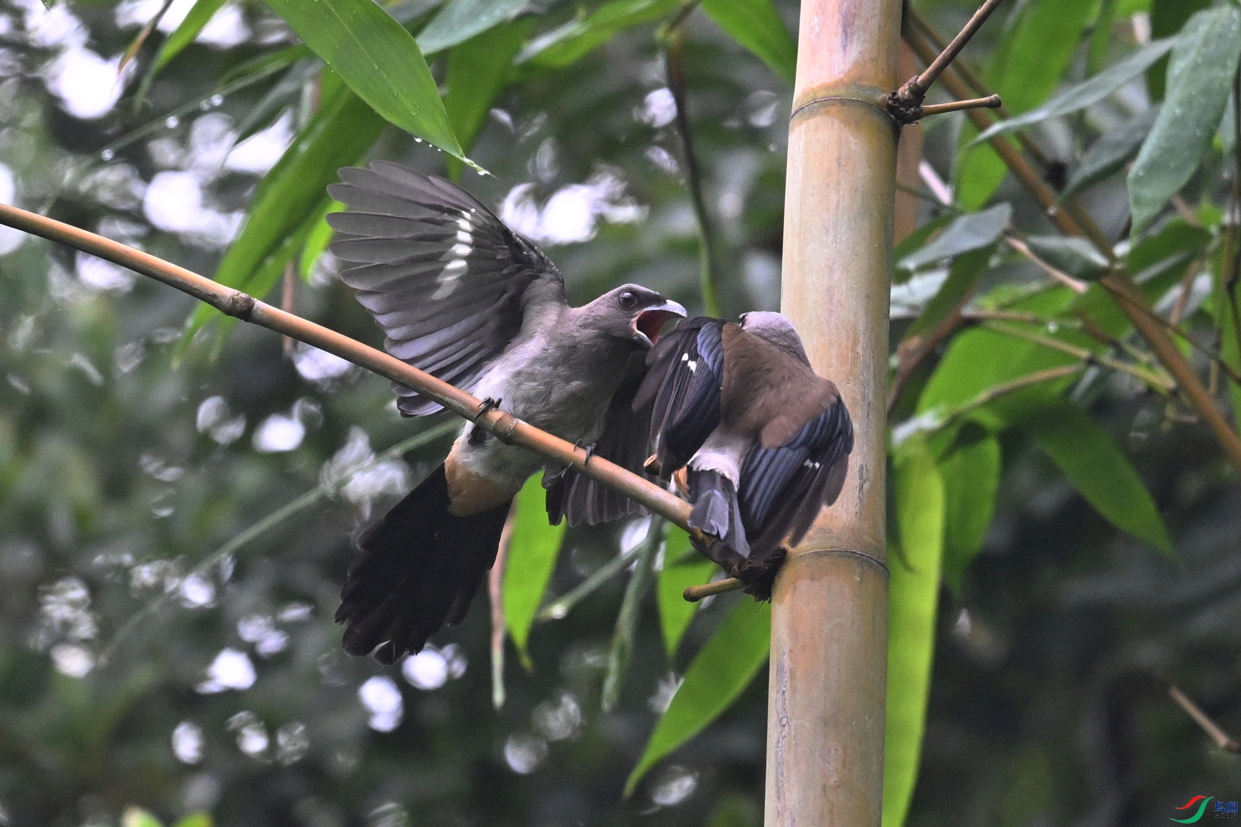 DSC_9728.JPG