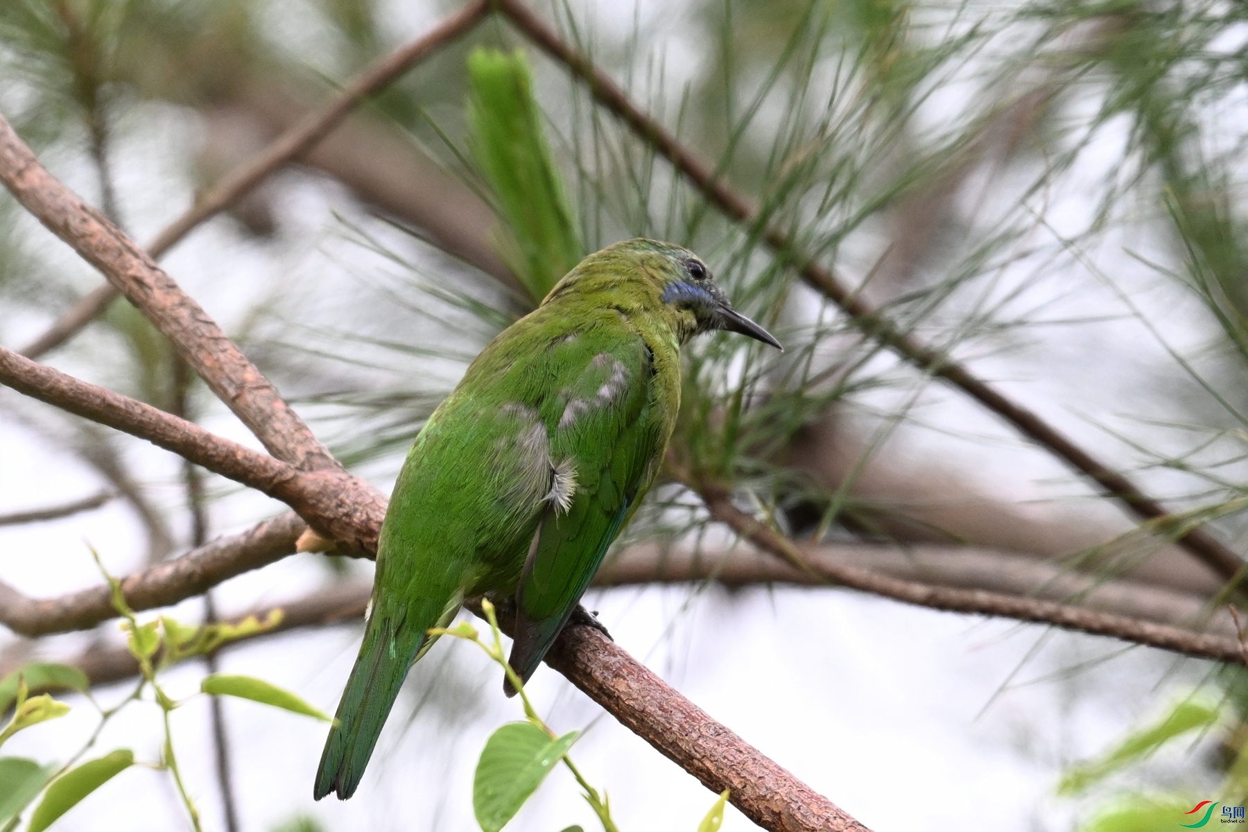 DSC_9741.JPG