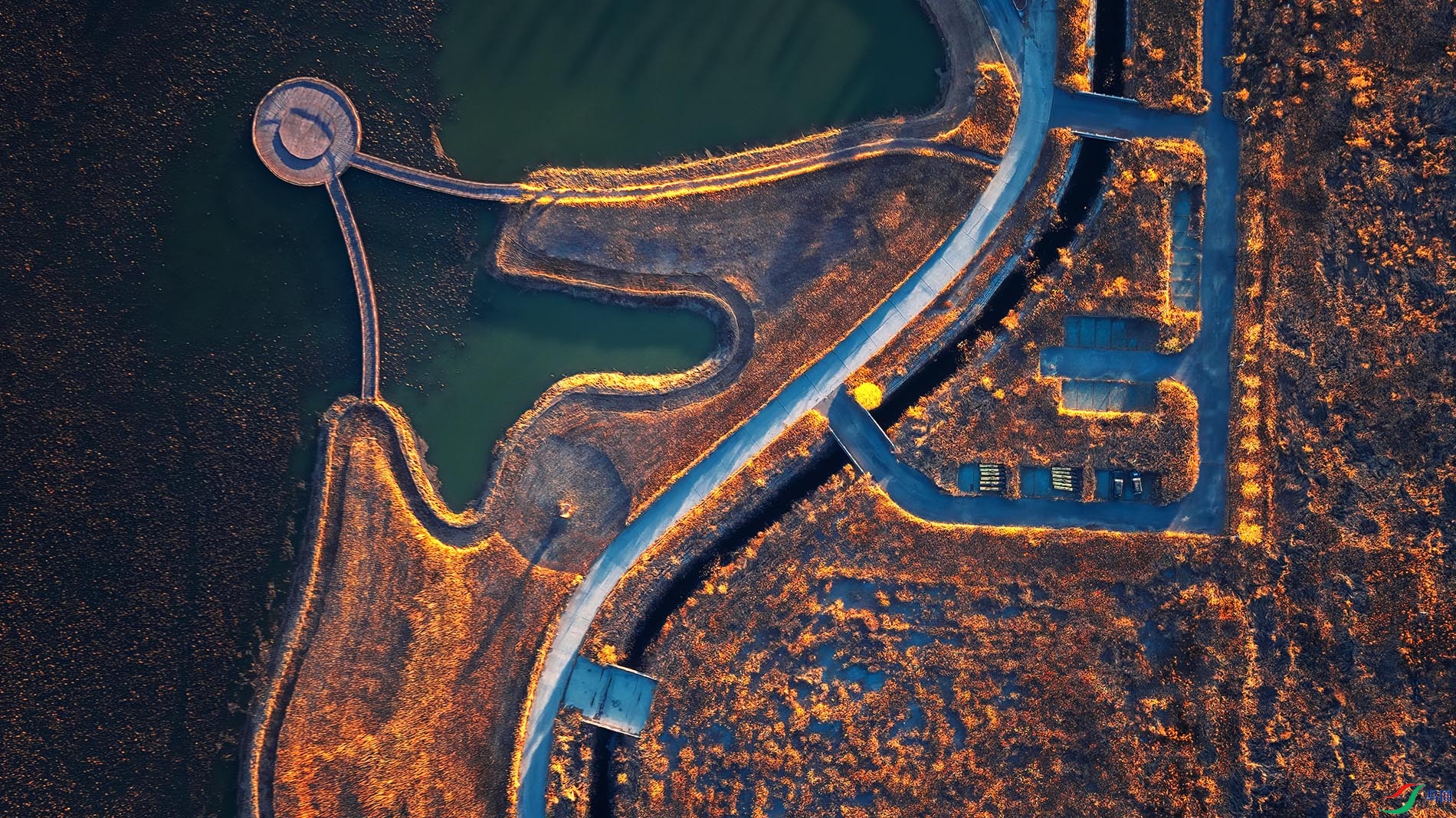 ��ƺӻ���