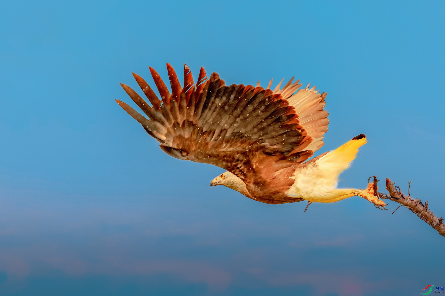 ��ͷ���----��������