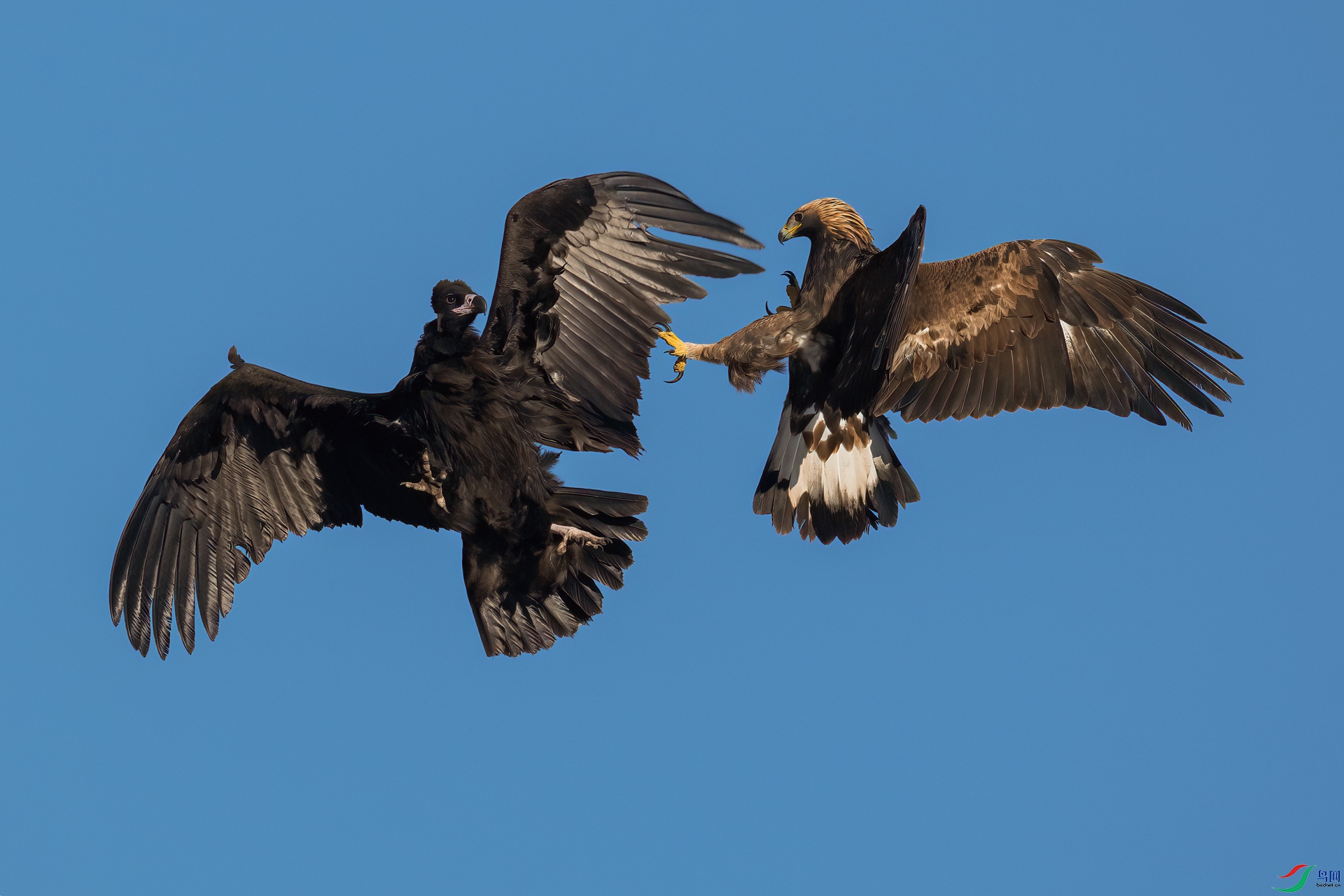 _DSC4439-1xxx.jpg