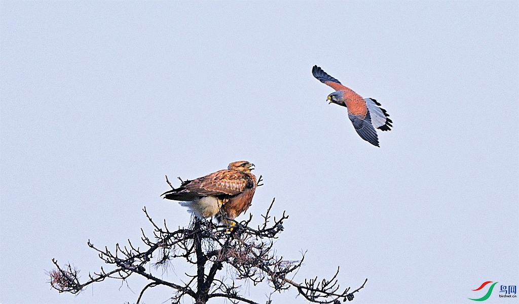 DSC_7502.JPG