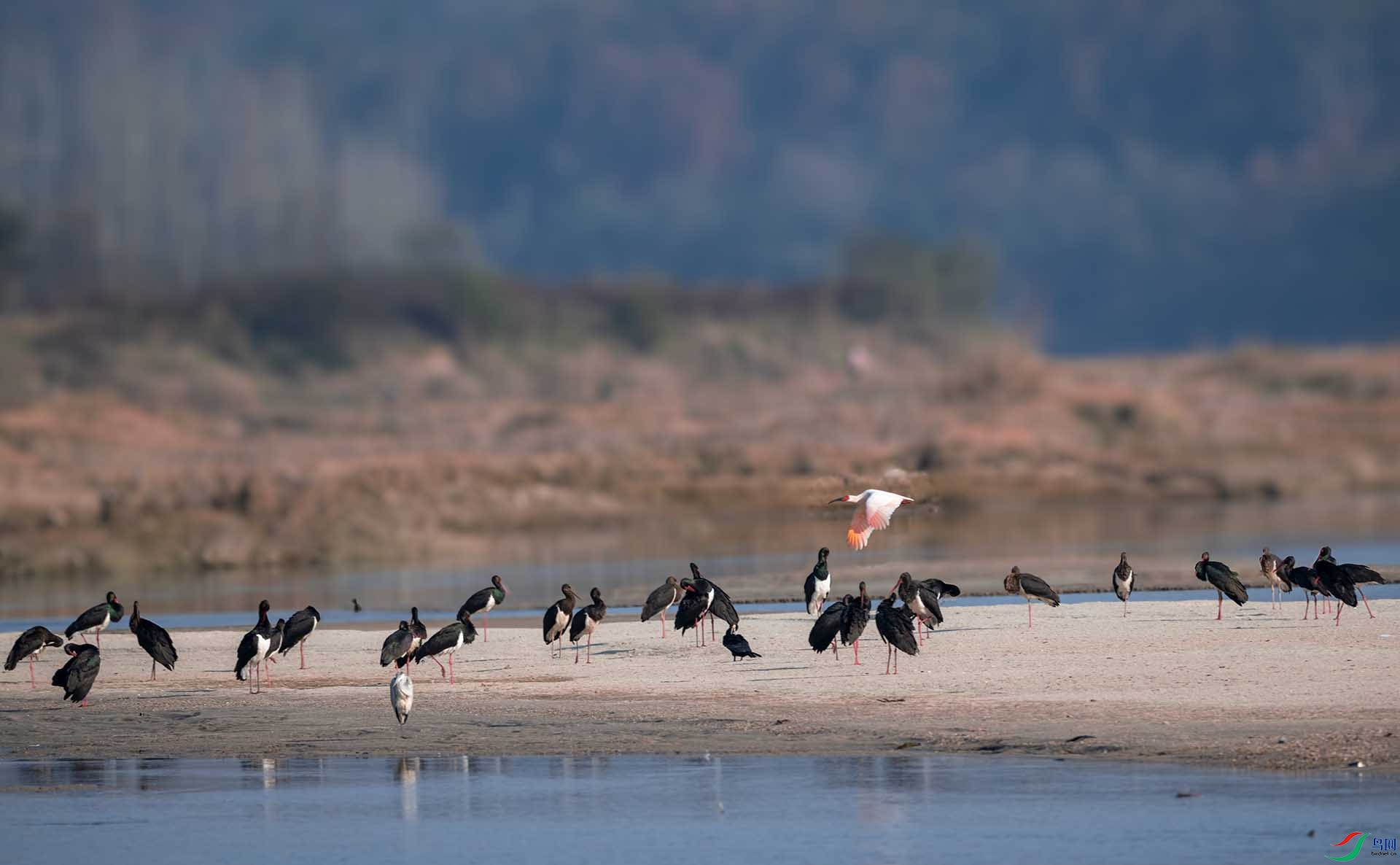 DSC_5828 ����.jpg