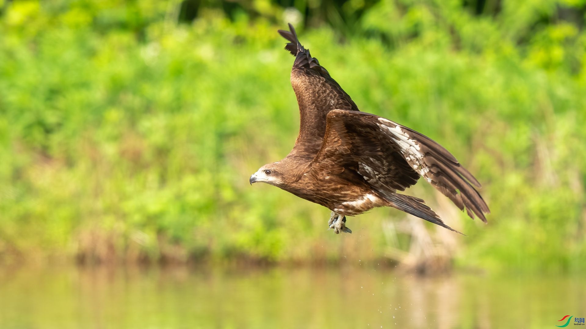 DSC06739 ����.jpg