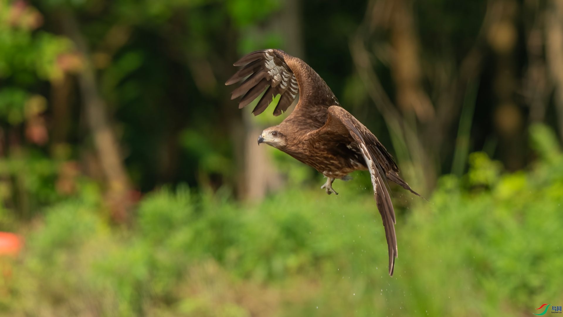 DSC06744 ����.jpg