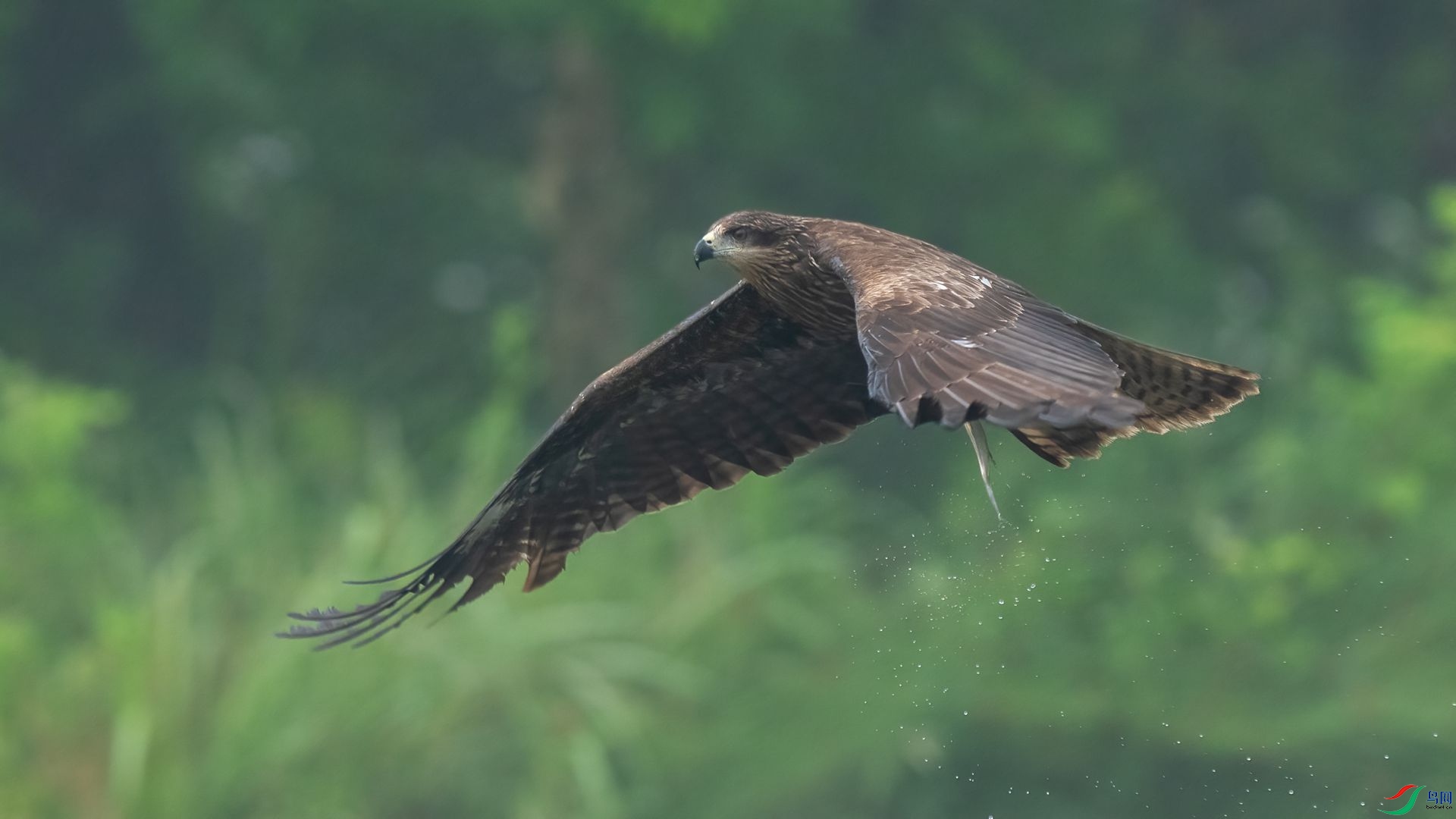 DSC06129 ����.jpg