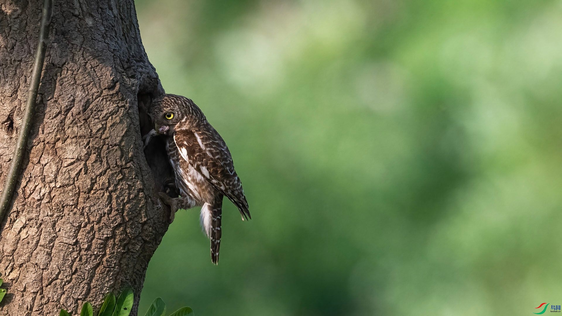 _DSC4998 ����.jpg