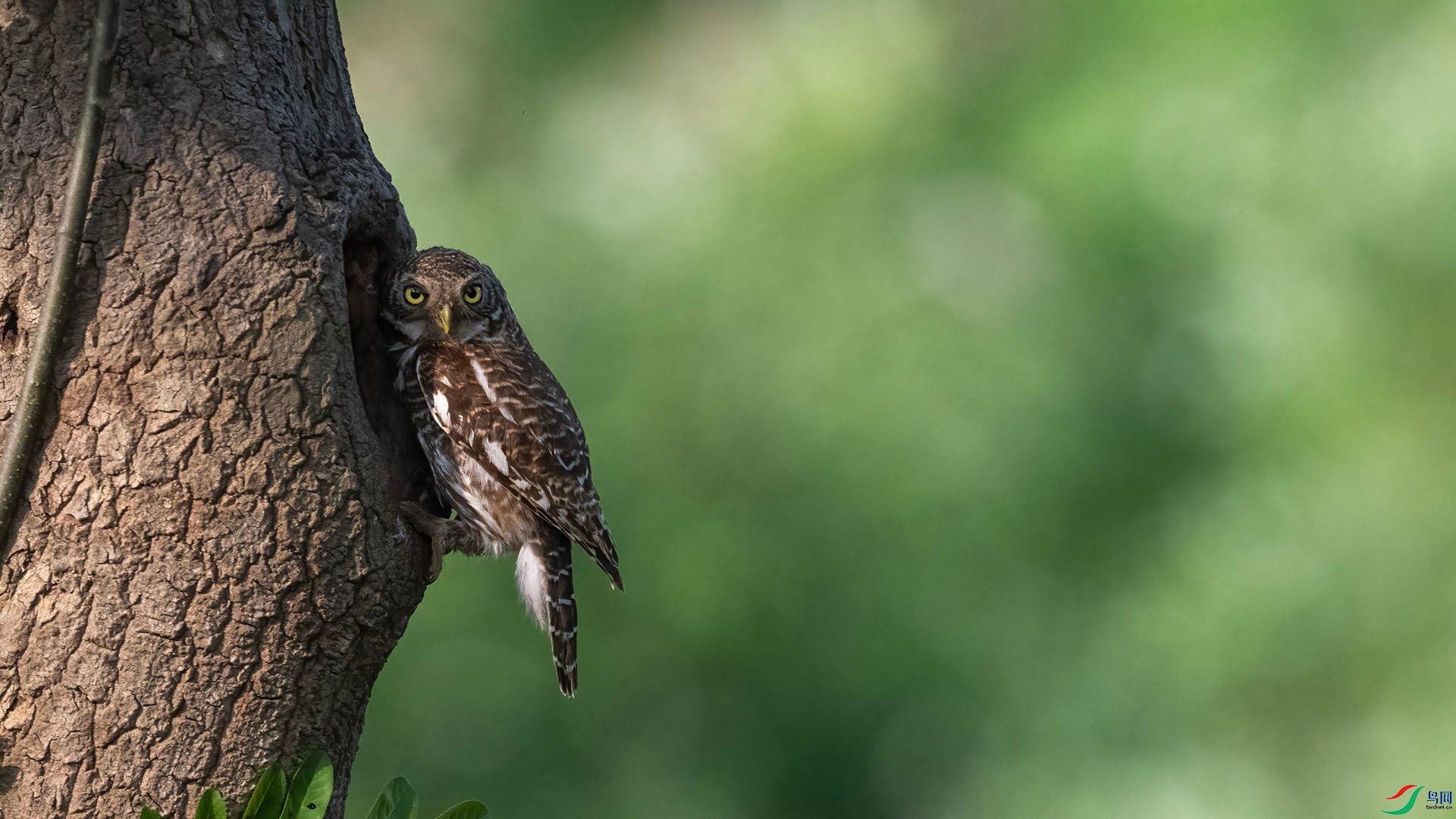 _DSC5030 ����.jpg