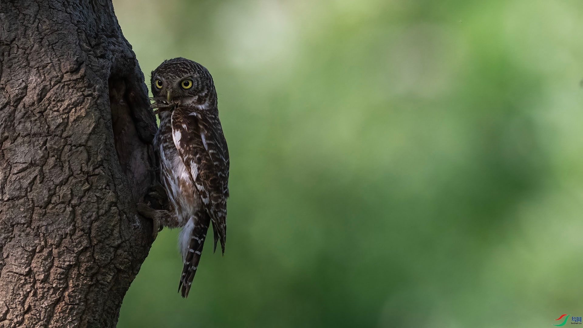 _DSC5099 ����.jpg