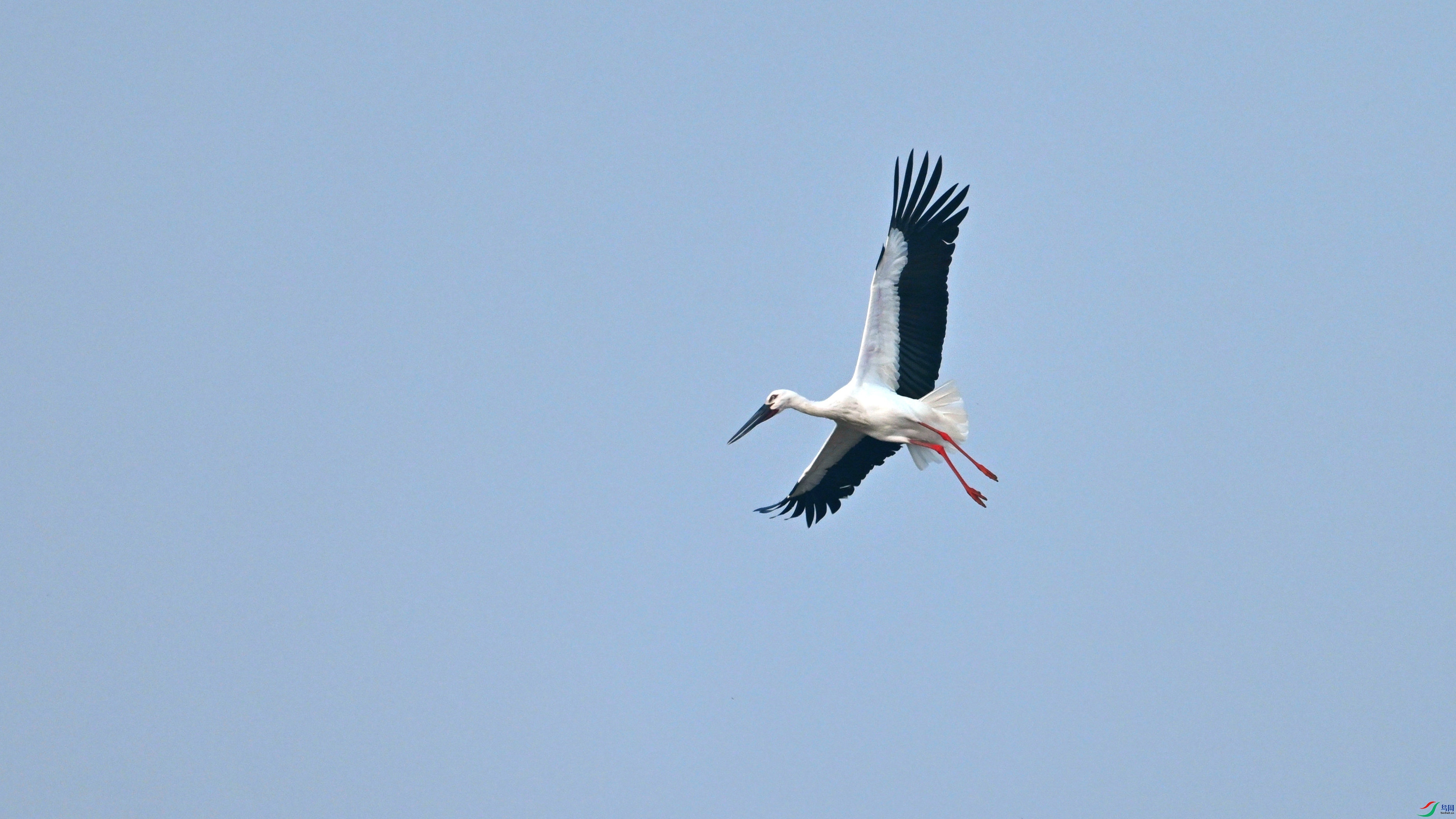 DSC_9813.JPG