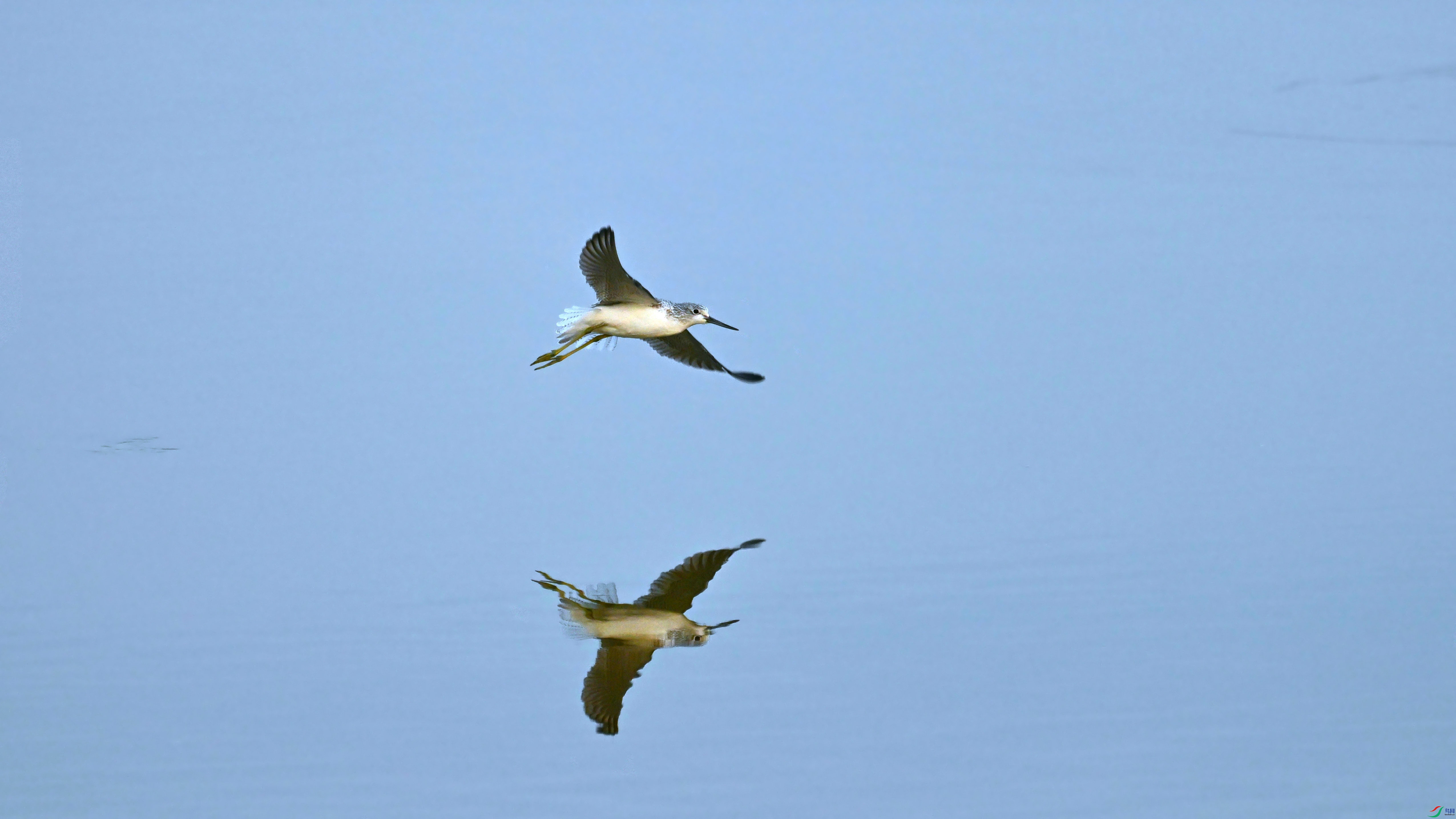 DSC_9418.JPG