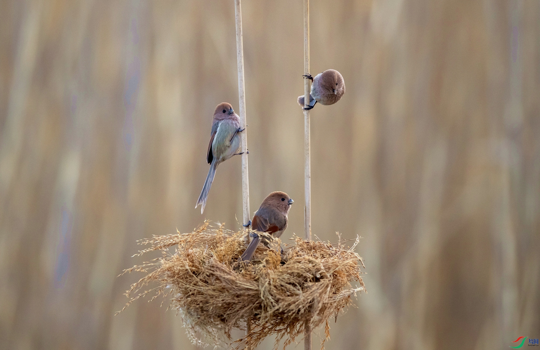 DSC_3869_����.jpg