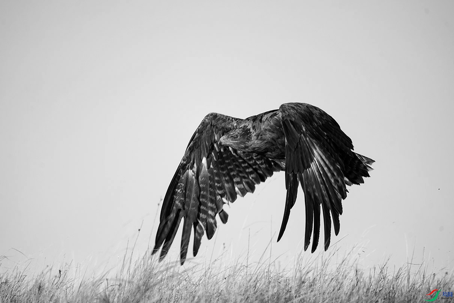 _DSC8250 (2).jpg