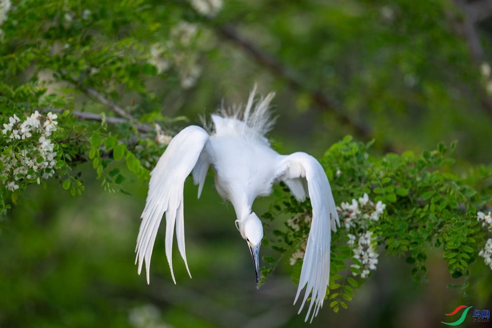 DSC_3433.jpg