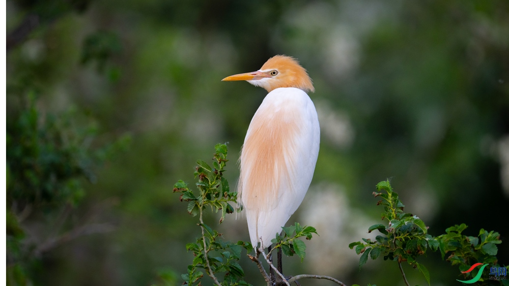 DSC_1441.jpg