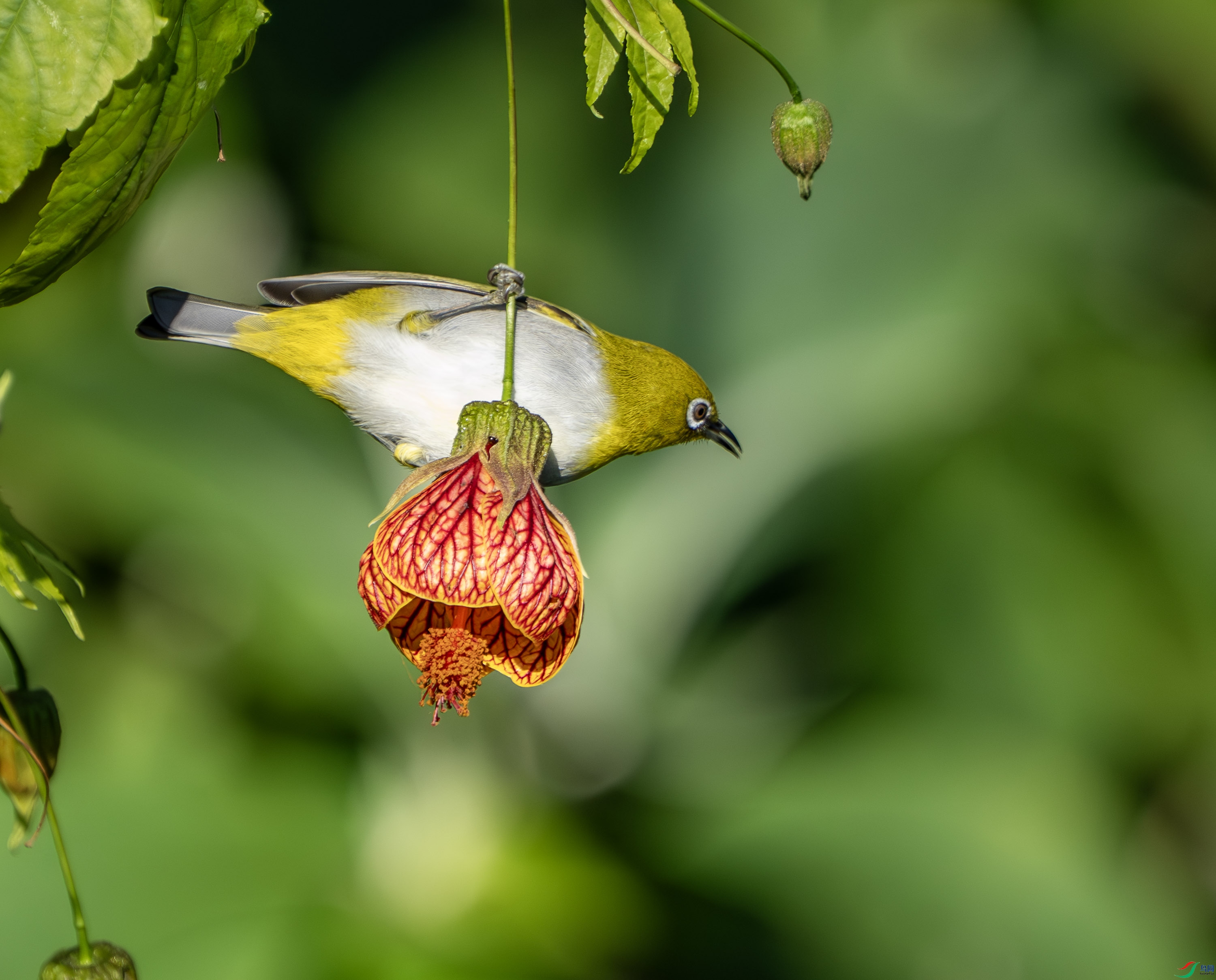 �Ҹ�������-13.jpg