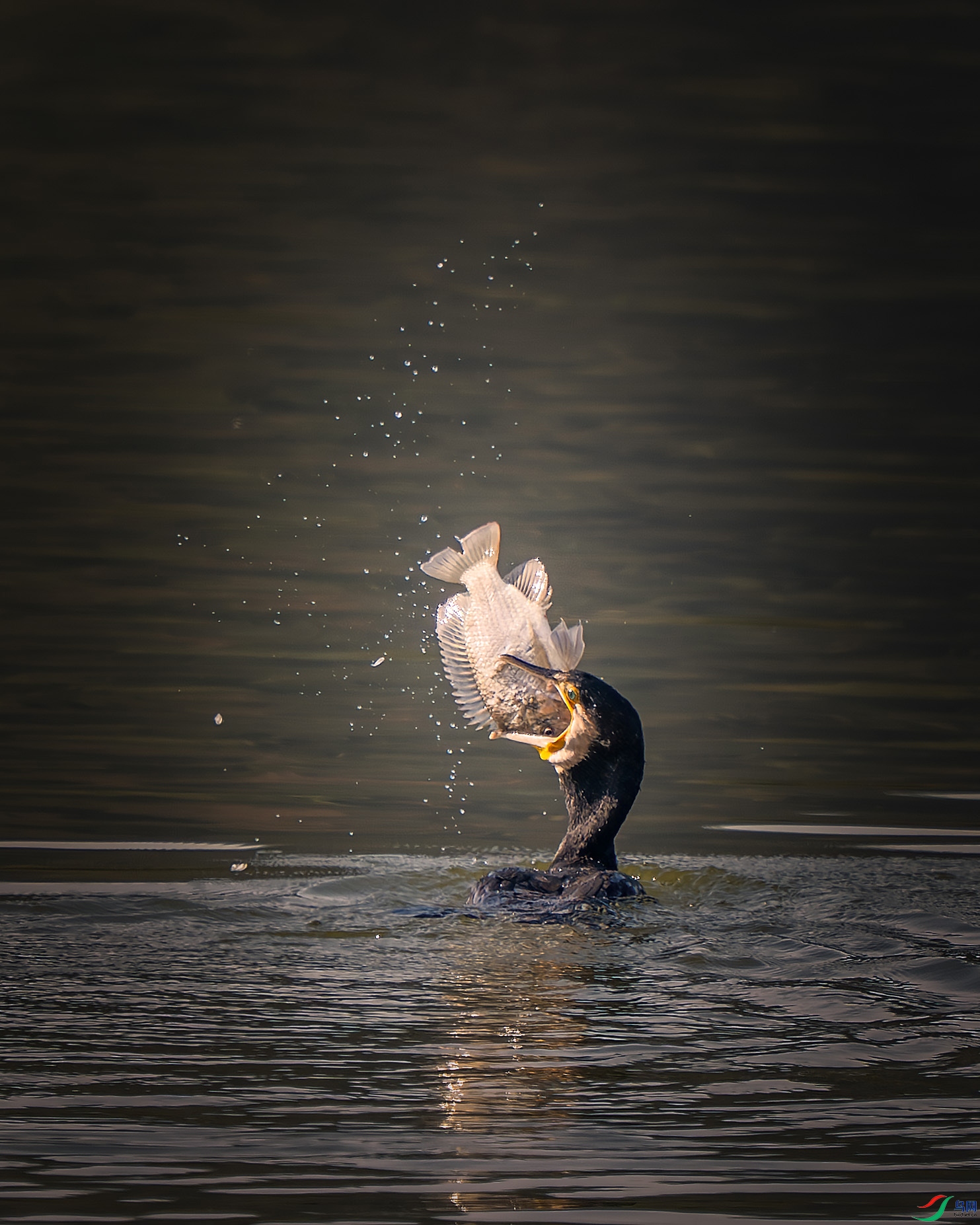 11`11 ����.jpg