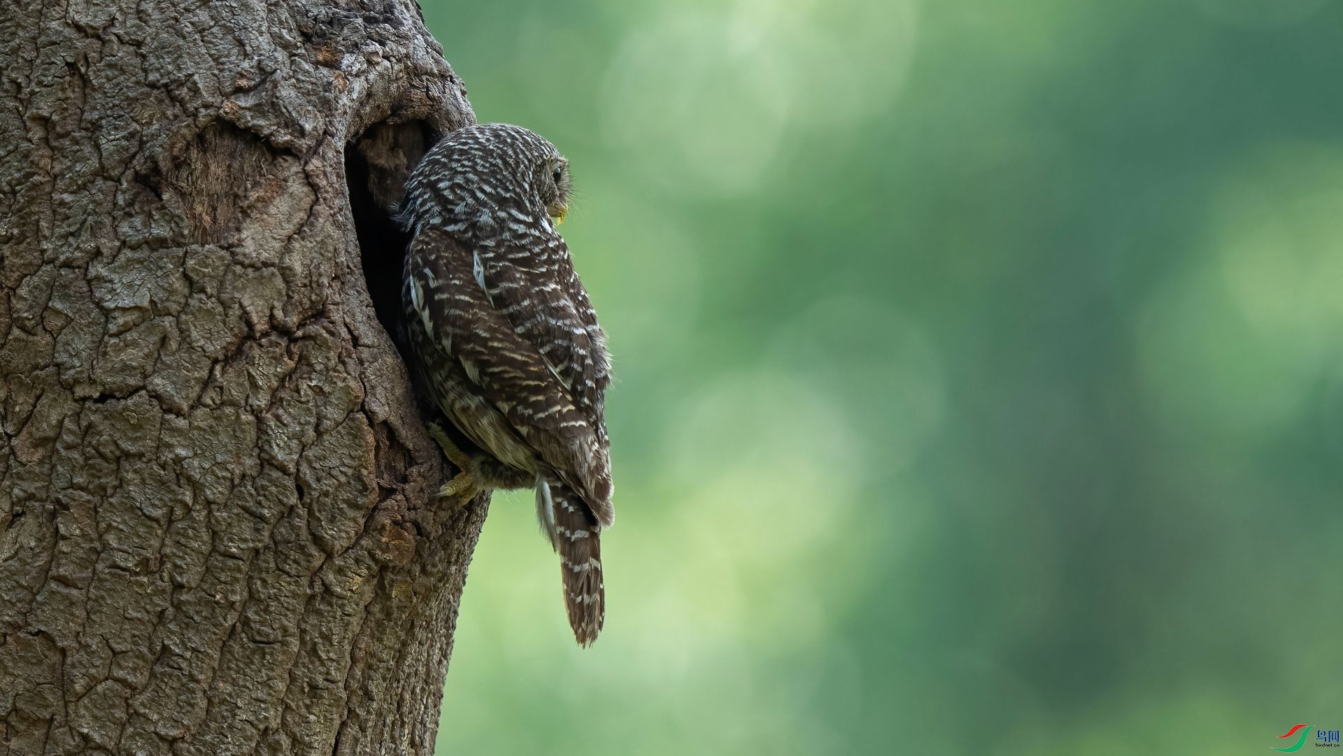 8��DSC07424 ����.jpg