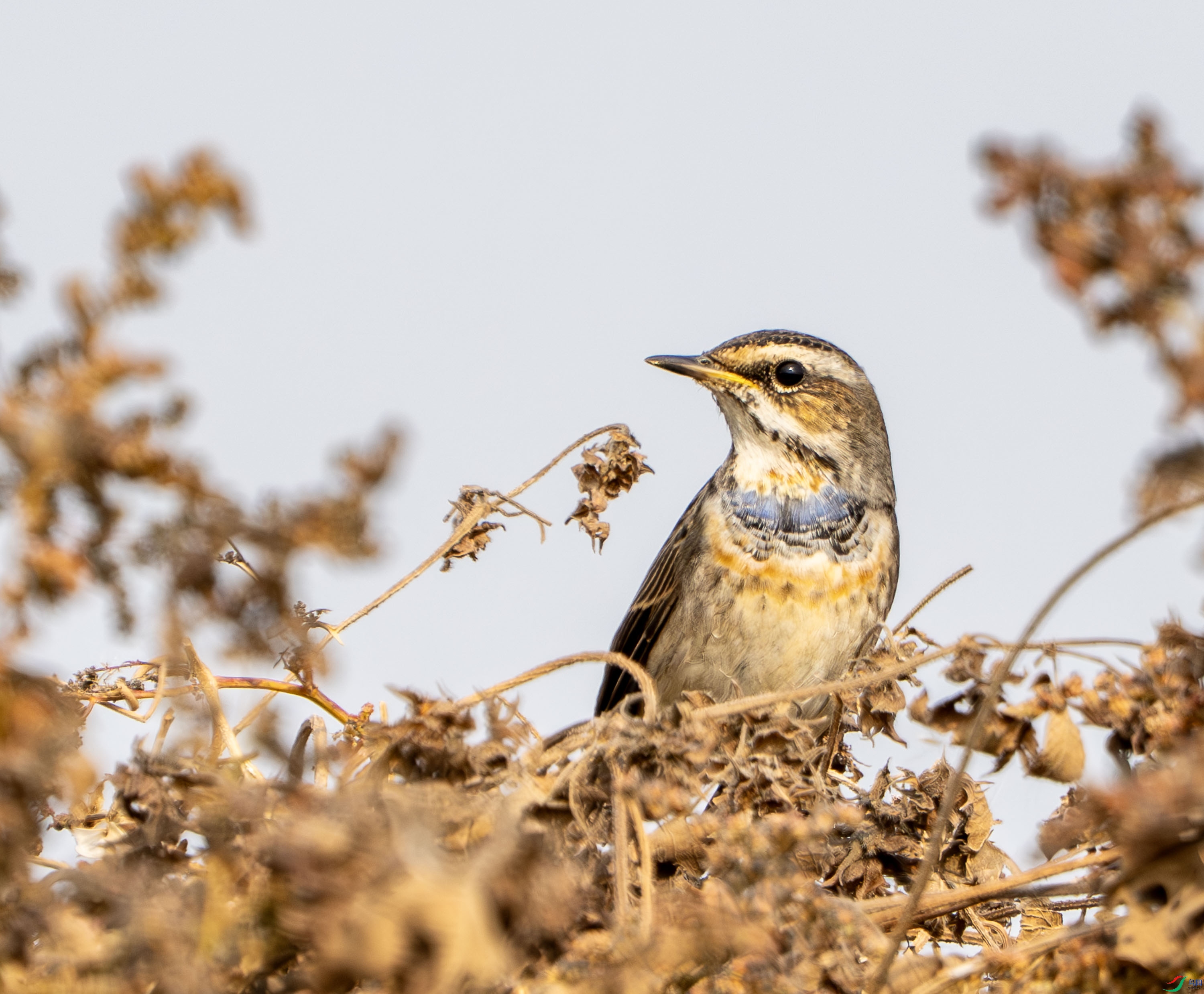 �������-10 (2).jpg