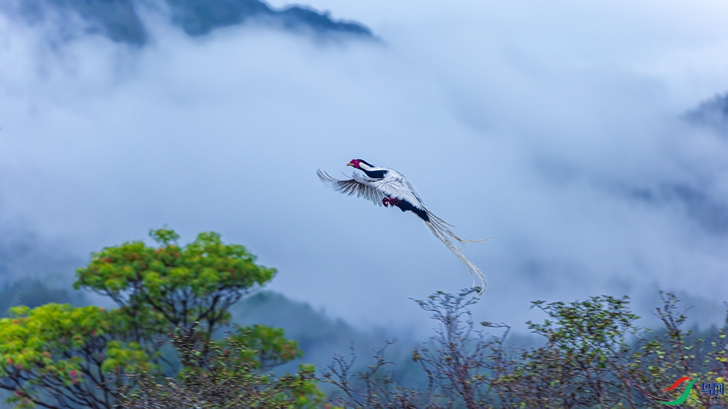 fjyaR230325 (497)_DxO.jpg