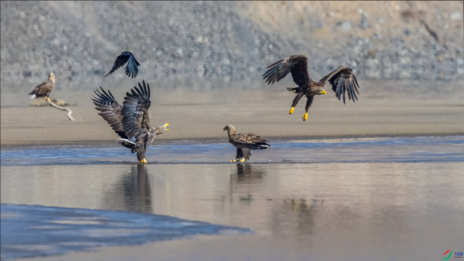 _DSC2352 ����_����.jpg