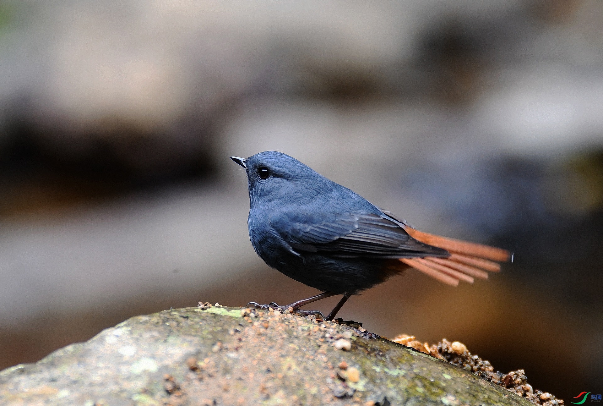 DSC_0923.jpg