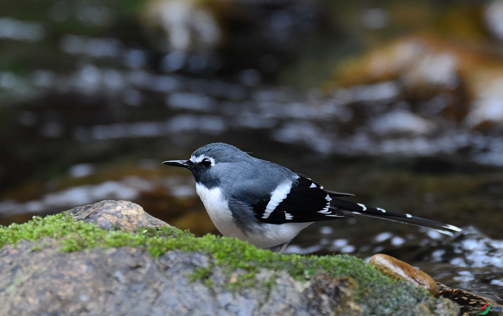 DSC_1406.jpg