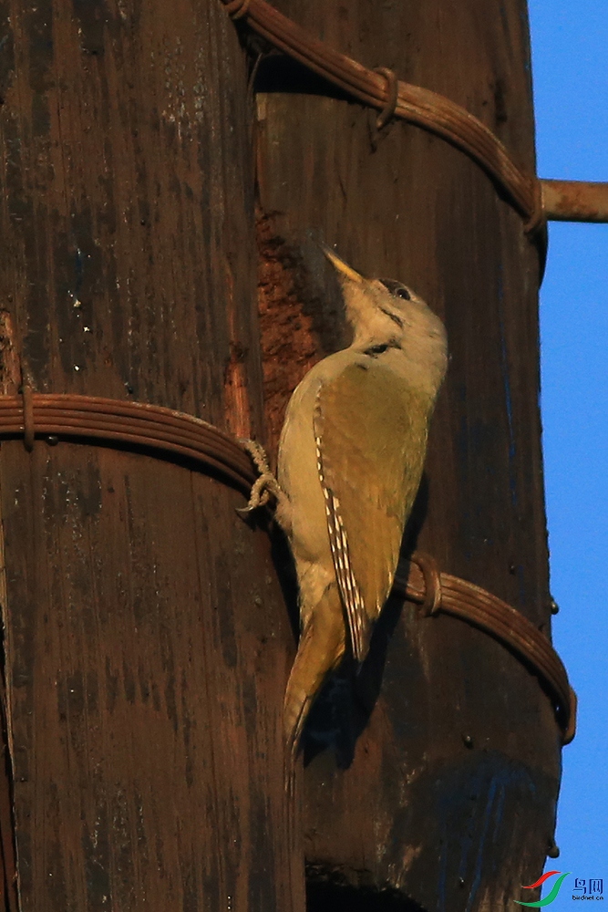 HA2_7811 ����.jpg