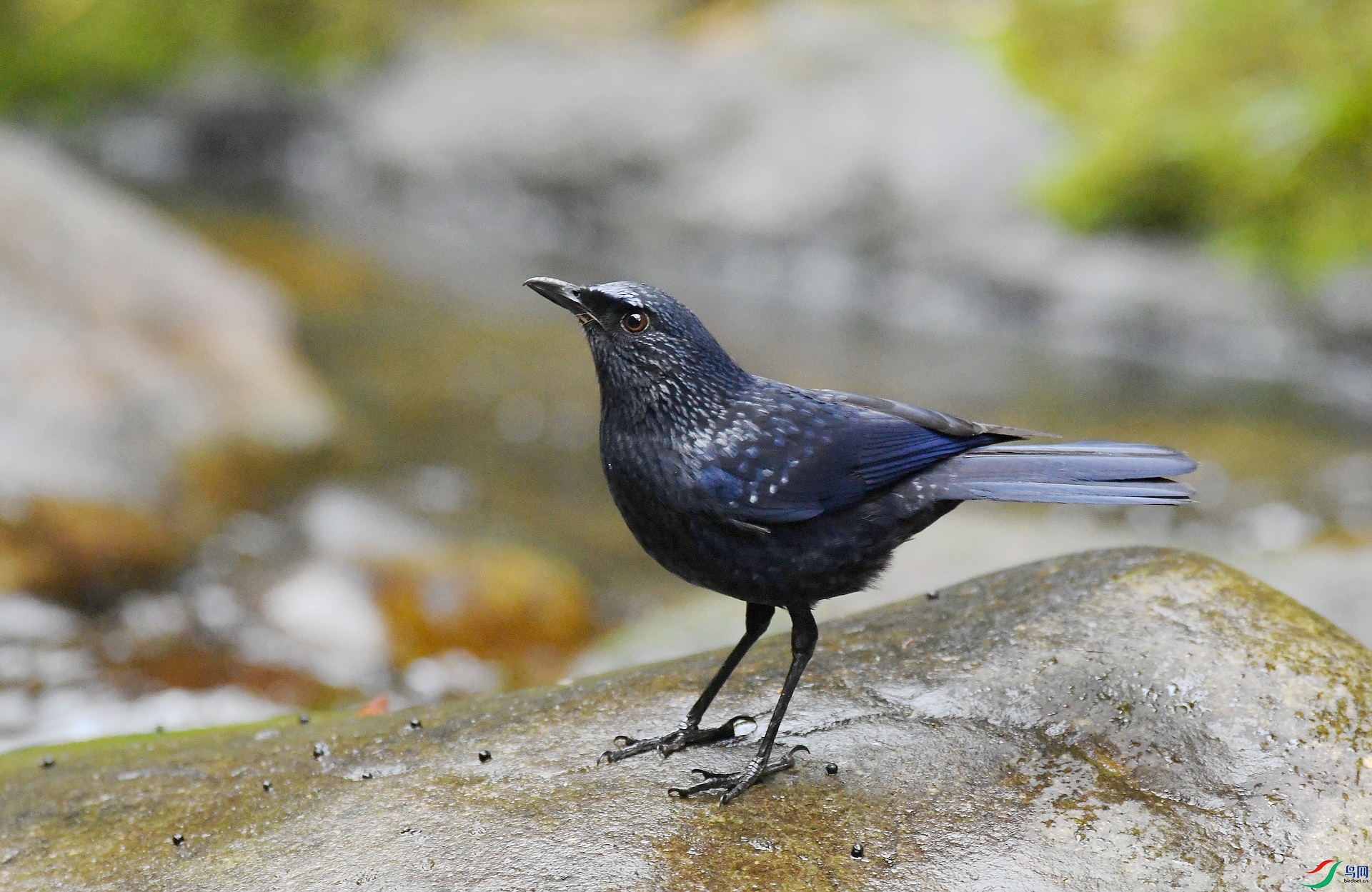 DSC_1478.jpg