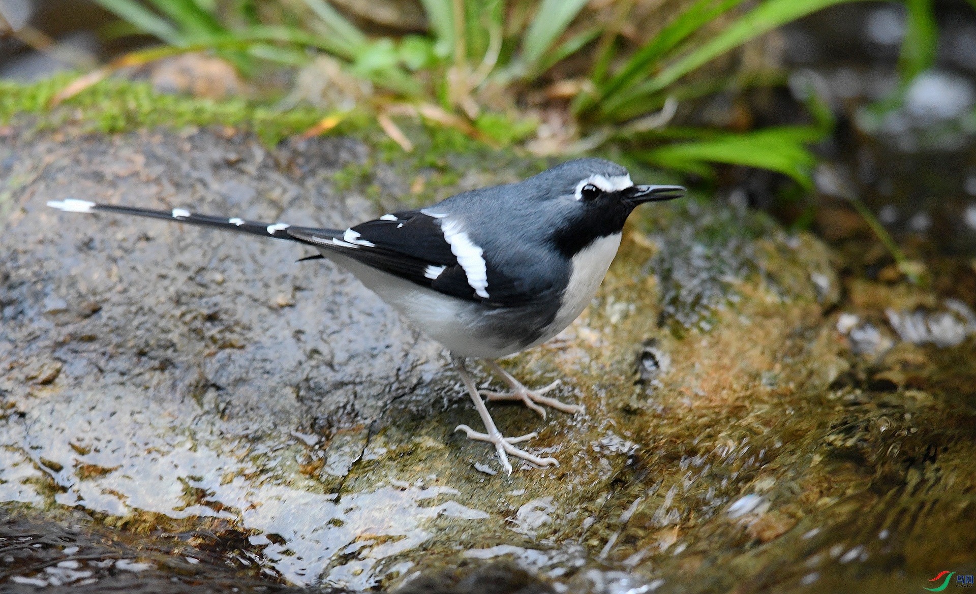 DSC_3016.jpg