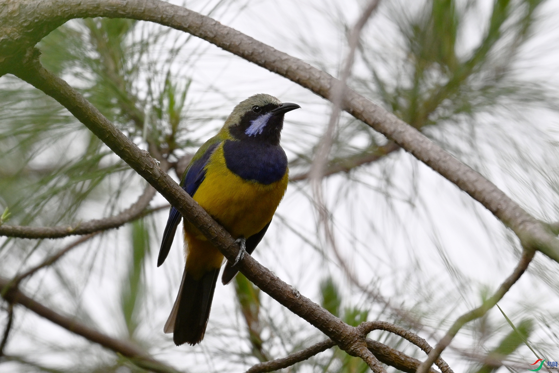 DSC_9753.JPG