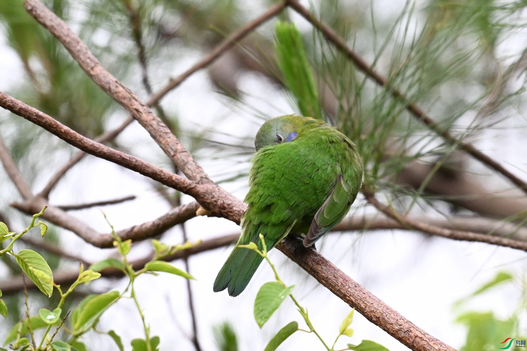 DSC_9756.JPG