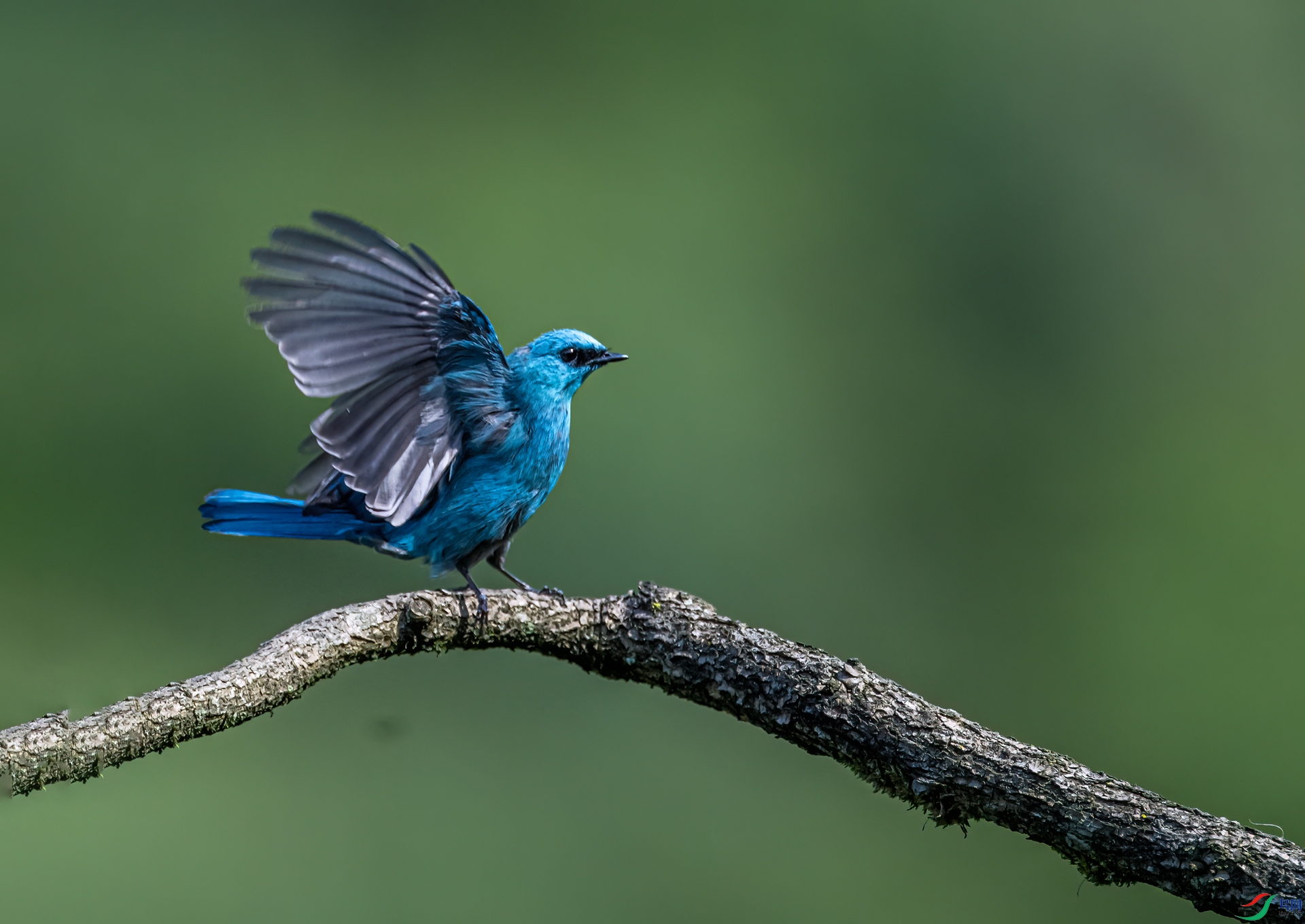 DSC_5473-11.jpg