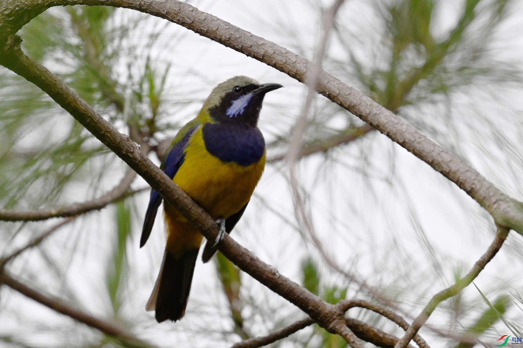 DSC_9748.JPG