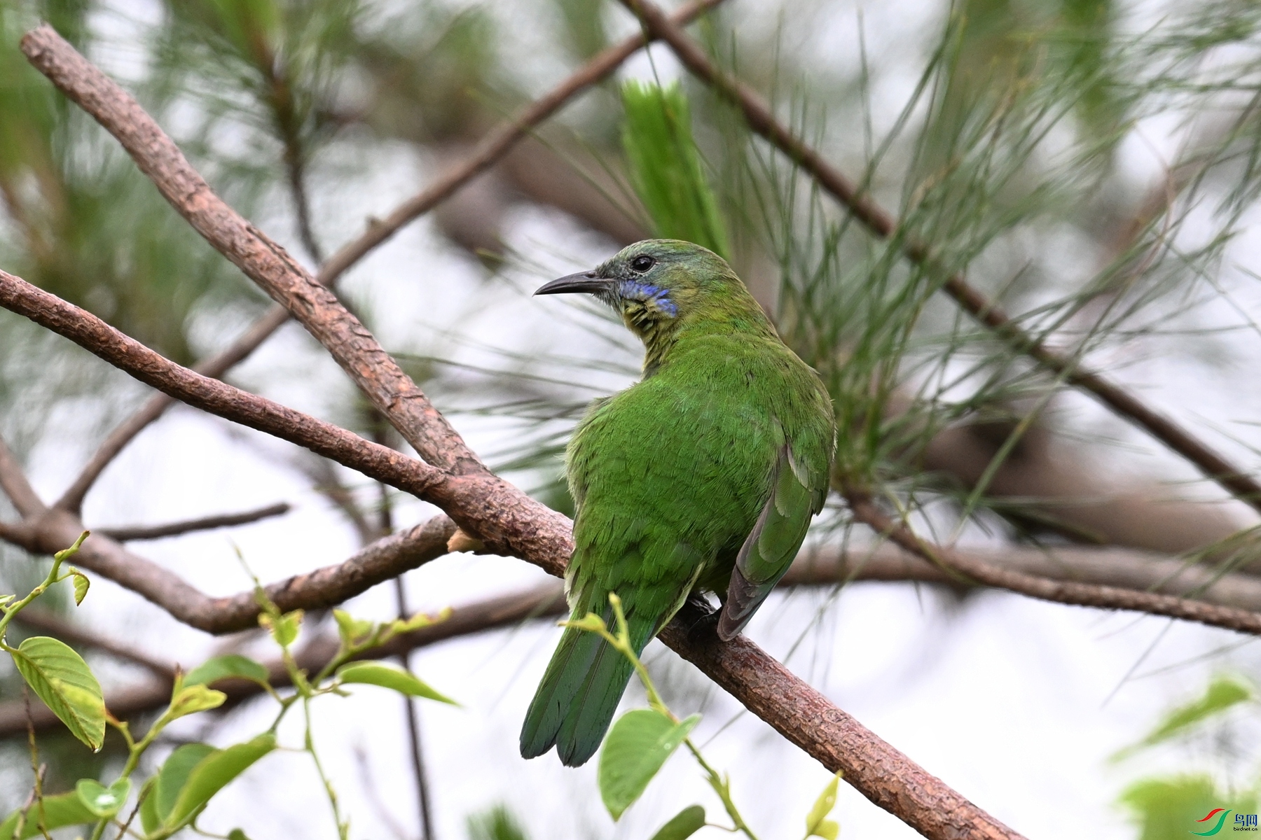 DSC_9763.JPG