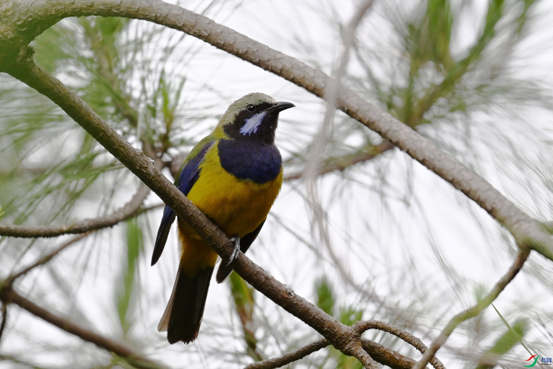 DSC_9752.JPG