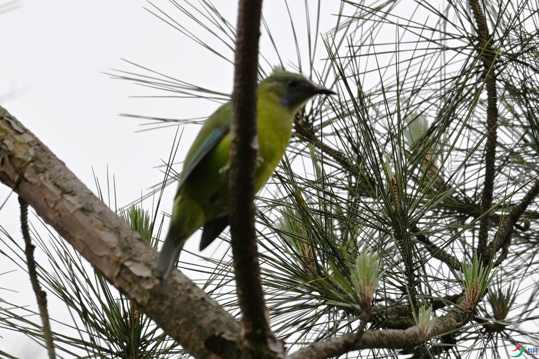 DSC_9740.JPG