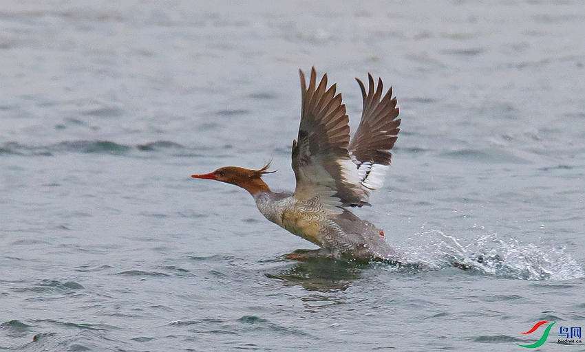 IMG_8680 _����.jpg