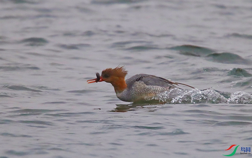 IMG_8177 _����.jpg