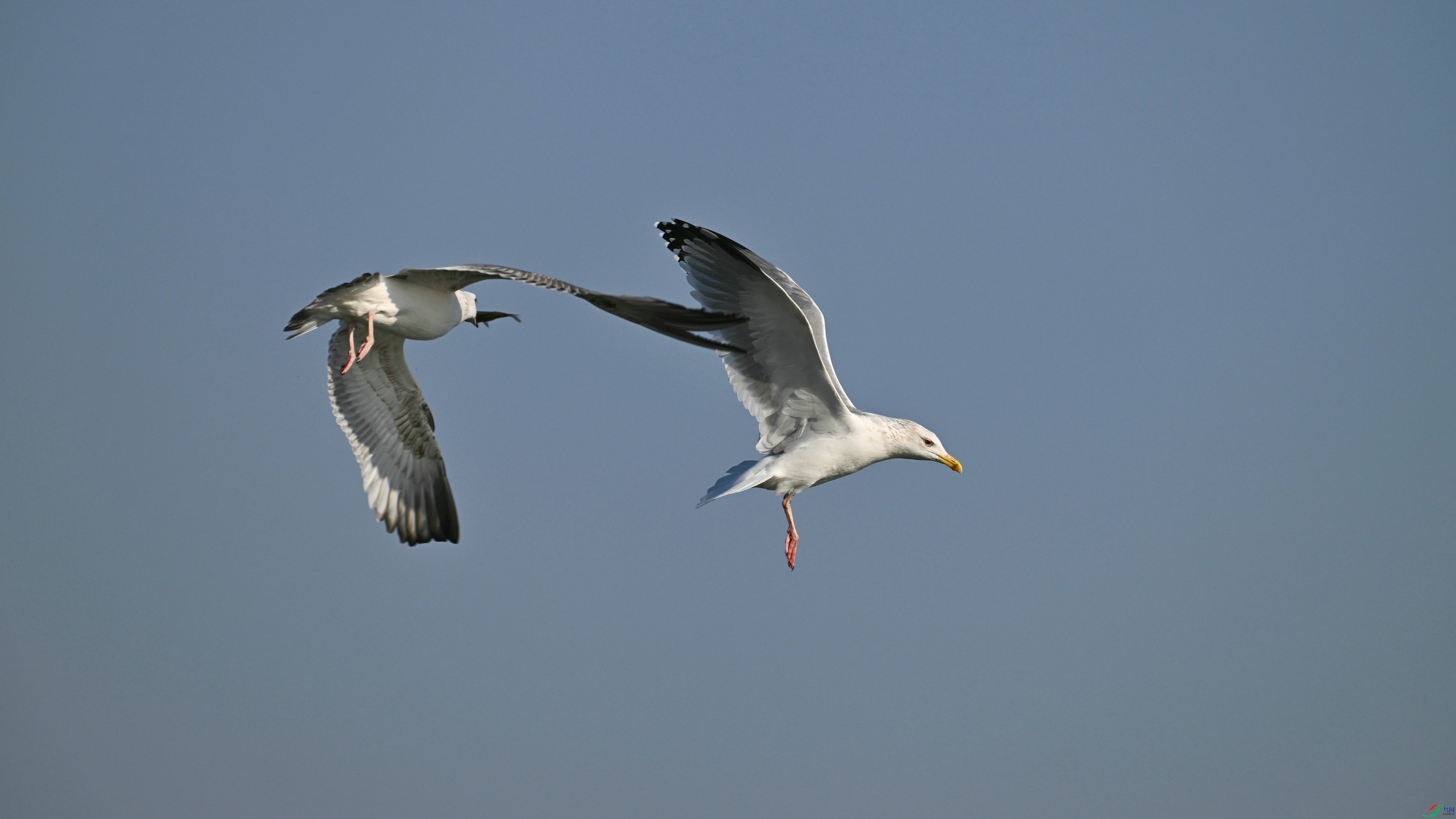 DSC_6226.JPG