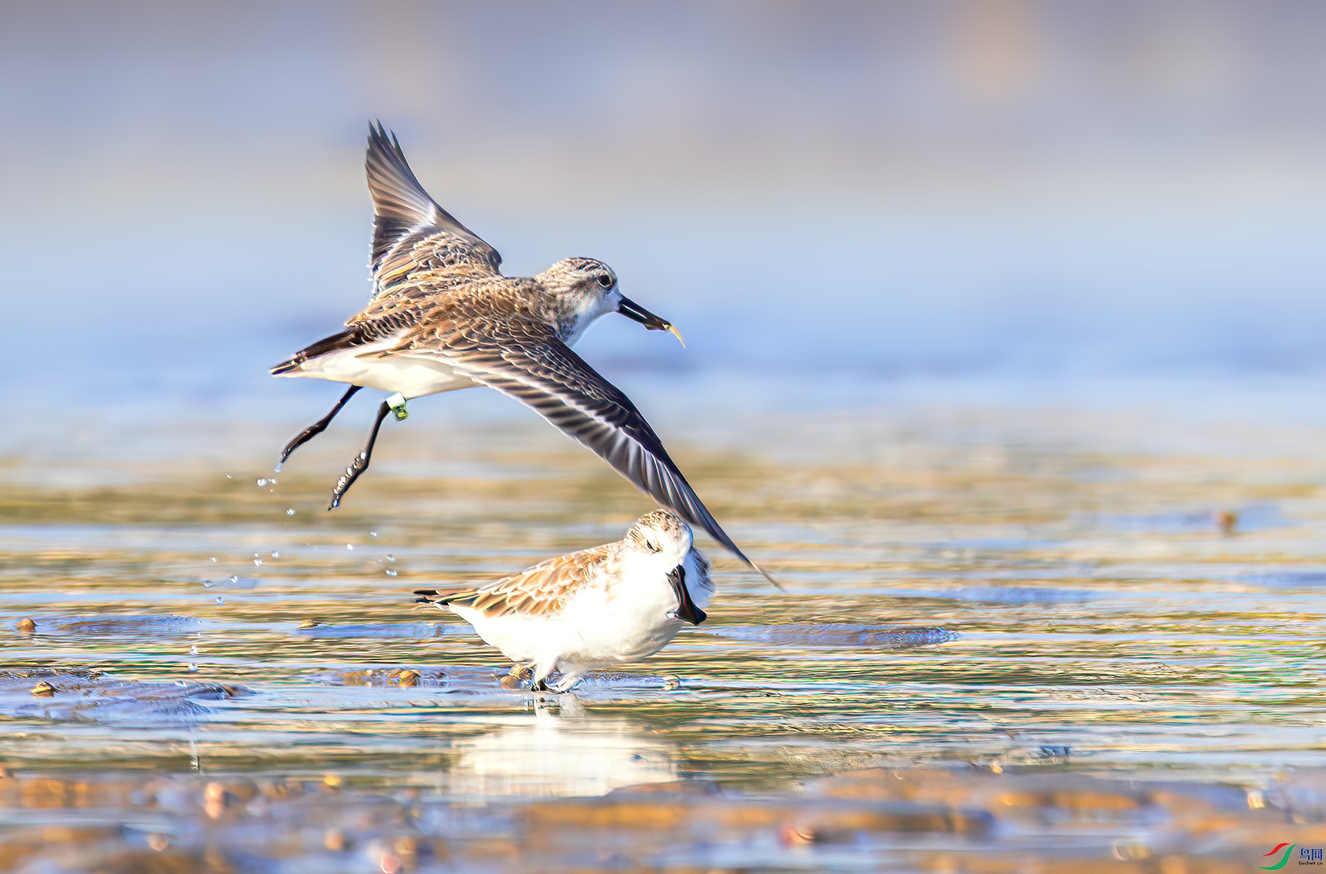 407A9054-----22  .jpg