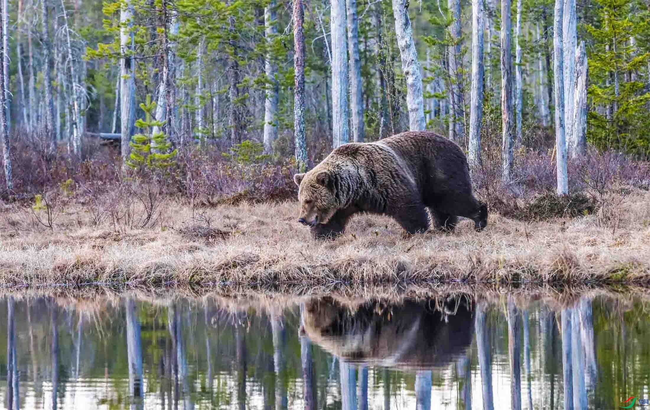 �賿�ĵ��������� ����.jpg